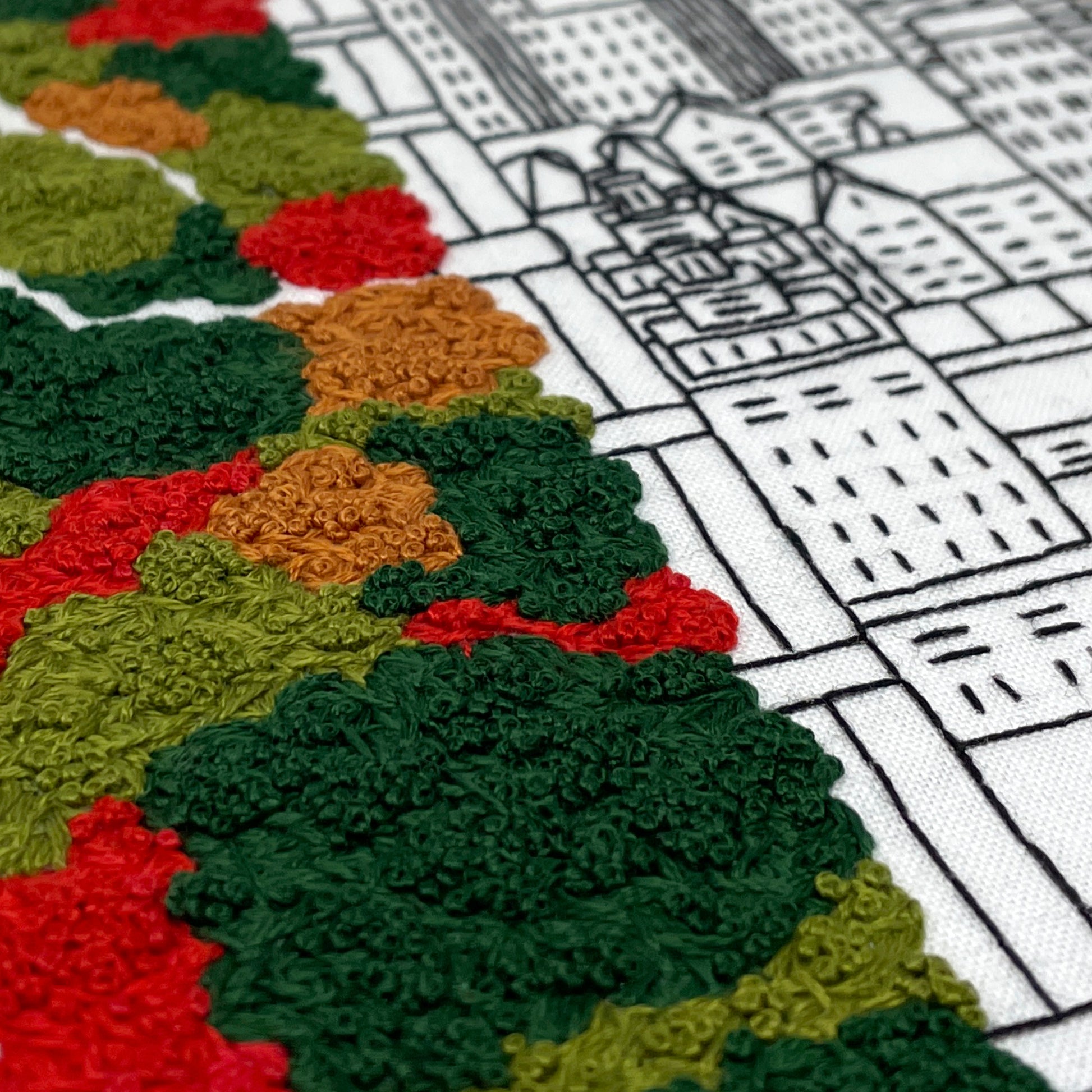 french knots and backstitch embroidery stitches